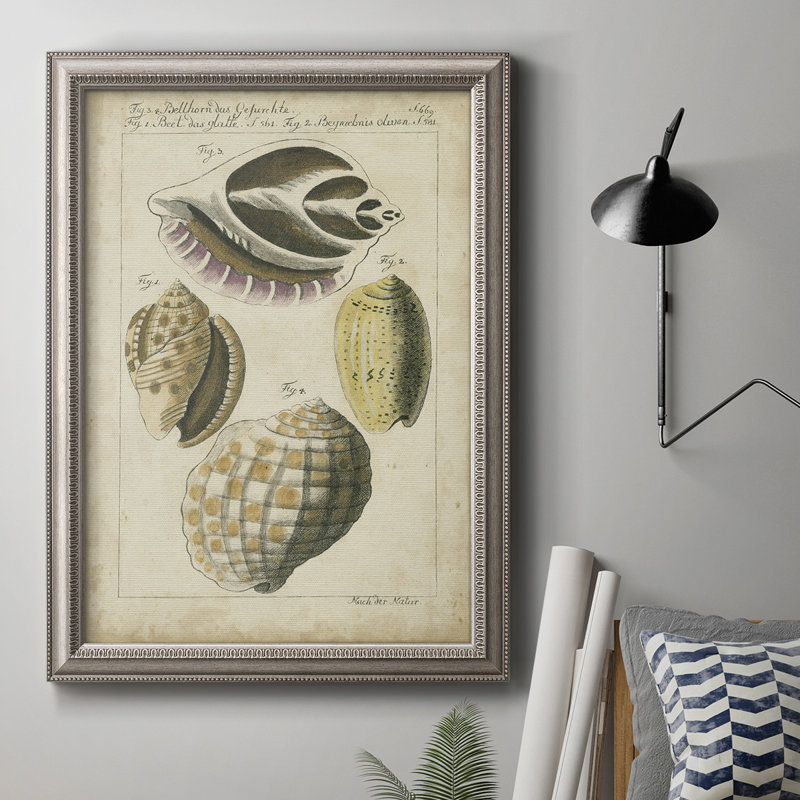 «Vintage Shell Study I», reproduction sur toile encadrée, L 16 po x H 20 po