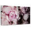 Pivoines Harnek Galore II-107696662