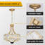 5-Light Drum Chandelier