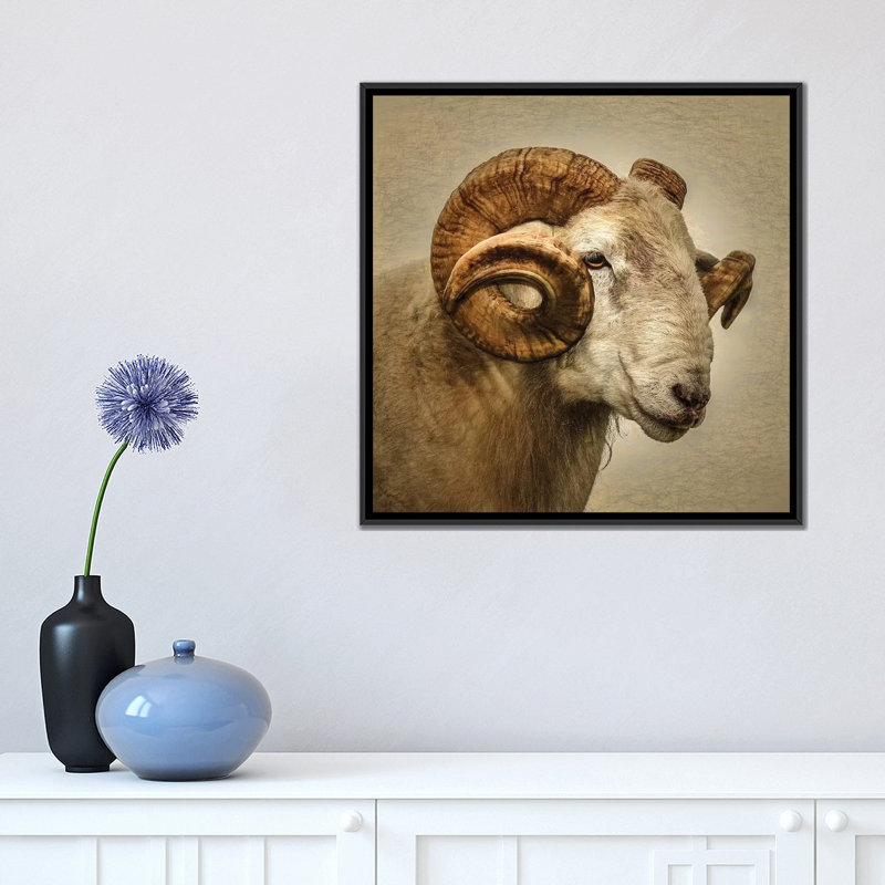 « RAM » par Mark Gemmell-impression d’art graphique, Pas de tapis, H 18 po x l 18 po x 1,5 po, Toile avec cadre noir