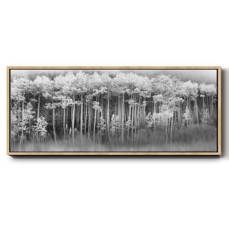 Toile encadrée Dreamy Aspen, H 12 po x l 30 po