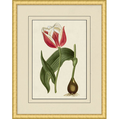 Fresh Flowers 2 Print