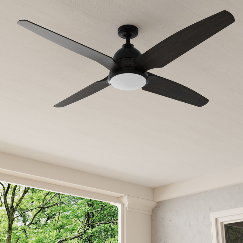 Alleron 56'' Ceiling Fan with LED Lights, Flat Black