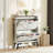 Two-tier Disinfecting Shoe Rack-970153681