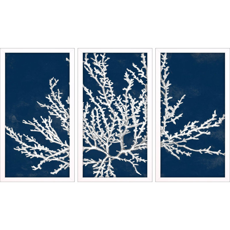 Coastal Coral S/3