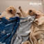 Literie 1 paquet de 3 couvertures pour animaux de compagnie, jetables en flanelle molletonnés super doux de qualité supérieure pour petits chiens, couverture imprimée pour chiot chat-128878424-129068590