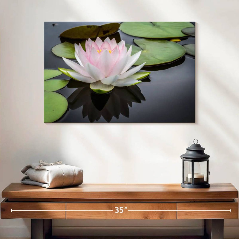 Lotus blanc rosé Harnek, H 16 po x l 24 po