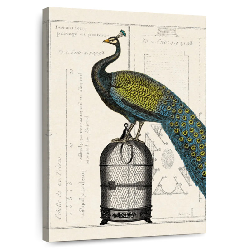 Peacock Birdcage II, 45" H x 30" W