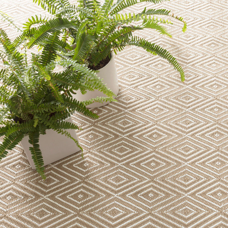 Diamond Handwoven Indoor/Outdoor Rug, Rectangle 6' x 9', Khaki/White