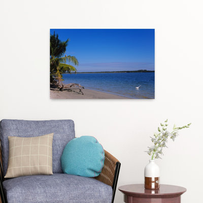 Palm Trees On The Beach Fort Myers Beach Bowditch Point Regional Park Gulf Of Mexico Florida Usa Tranquil Abstract Contemporary Palm Tree Bird Beac...