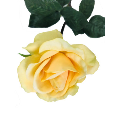 Arrangement floral de roses