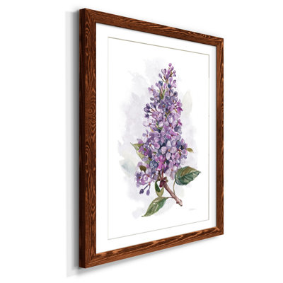 Awash In Lilac I - impression