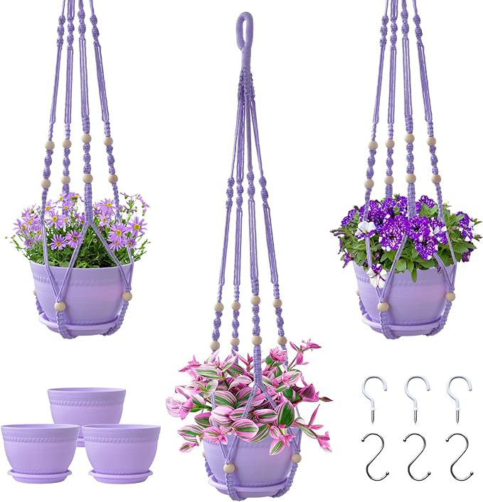 Teddrick Planter