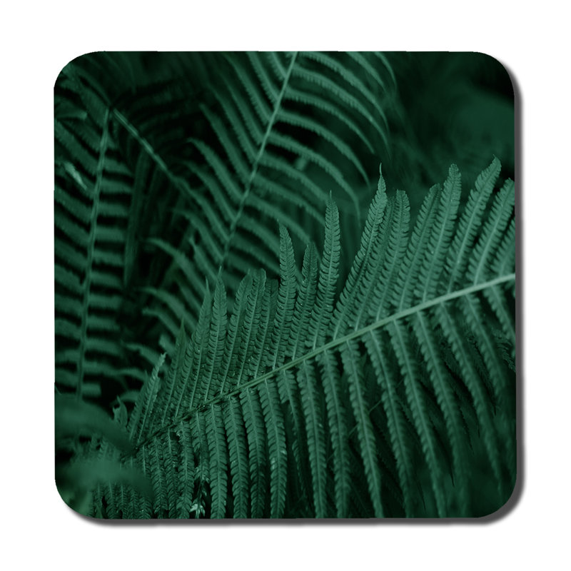 Square 6 Piece Coaster Set