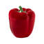 Pepper Decorative Bowl-854743469-887801203
