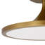 Semi Flush Mount