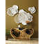 Flower Wall Décor-2034042650