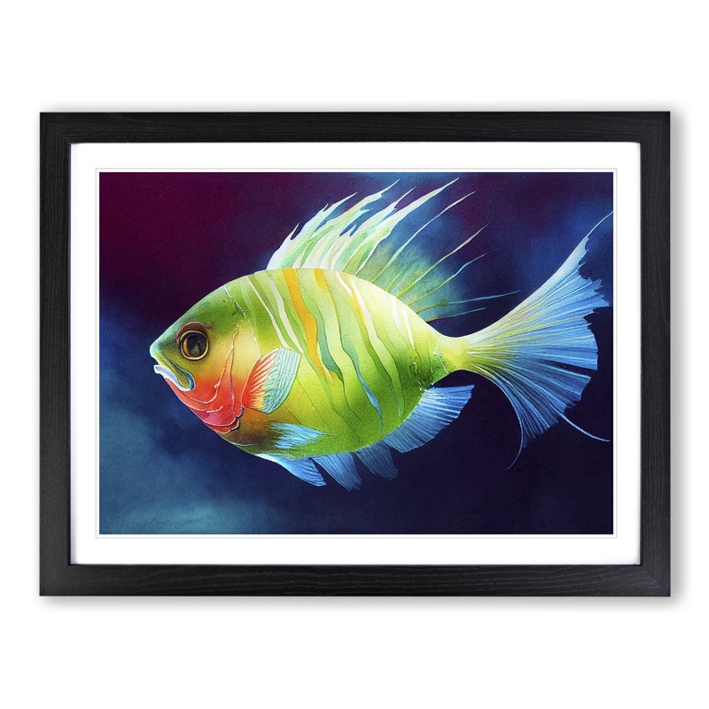 Watercolour Fish Vol.1 - Single Picture Frame Print, 46cm H x 64cm W x 2cm D, Black Framed