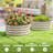 Ruot Raised Garden Bed-1832118113