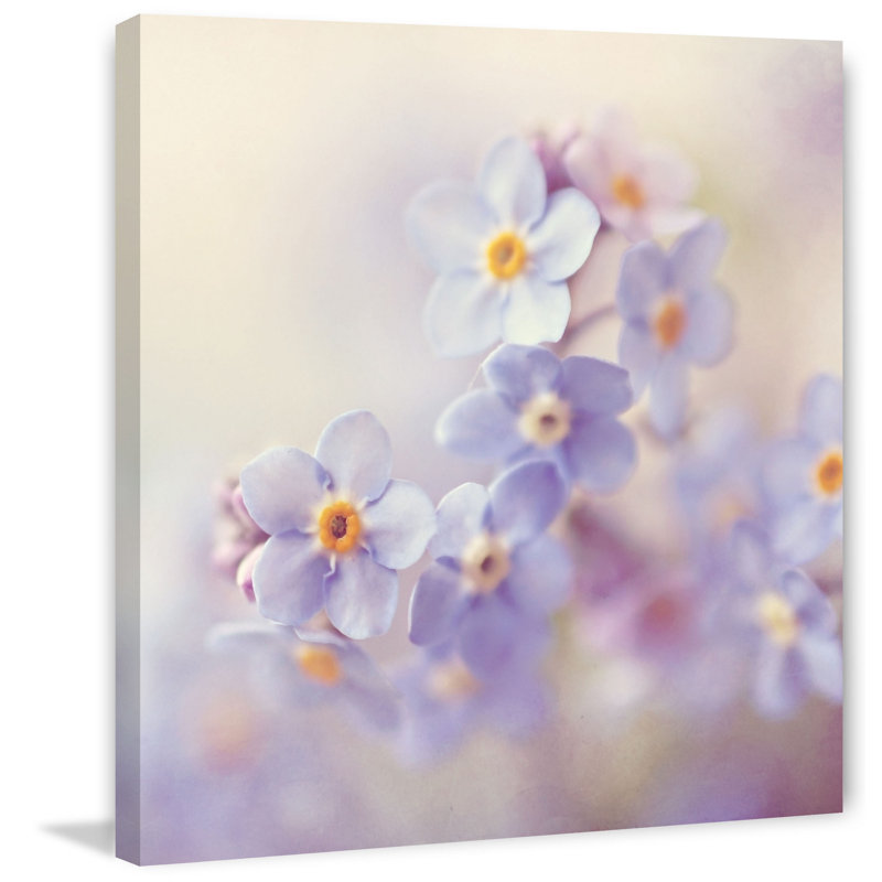 Wrapped Canvas Print, 81cm H x 81cm W x 3.8cm D