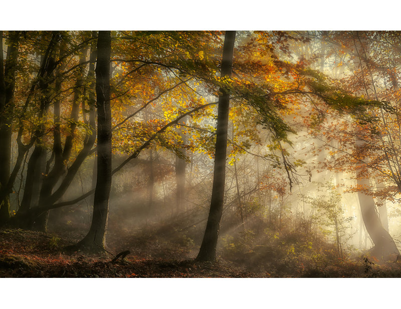 Wrapped Canvas Print, 50.8 cm H x 76.2 cm W
