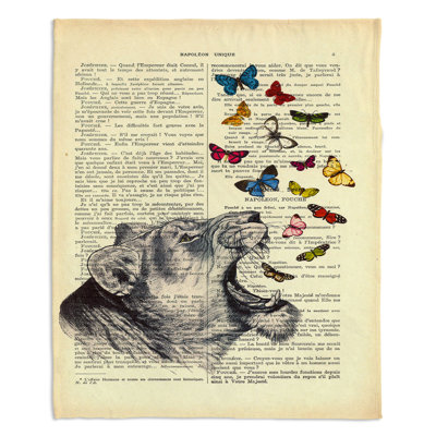 Couverture lioness 
