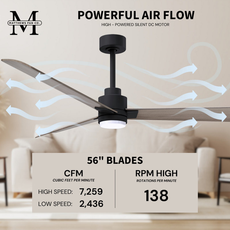 Alessandra - Three Blade Transitional Ceiling Fan -LED, Gray Ash Tone, 56", Matte Black