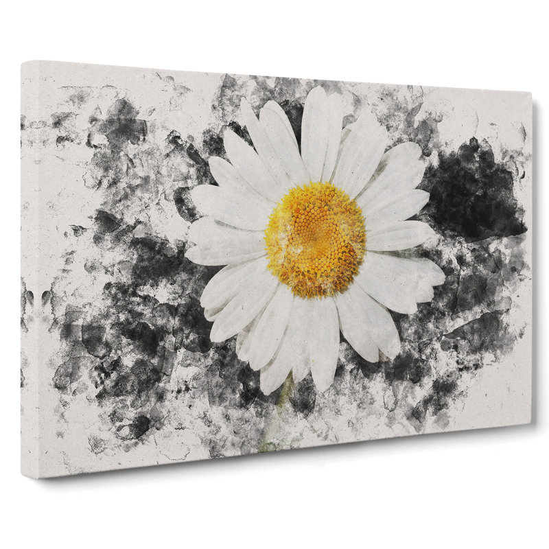 White Daisy Vol.6 Watercolour - Wrapped Canvas Print, 35cm H x 50cm W x 3cm D