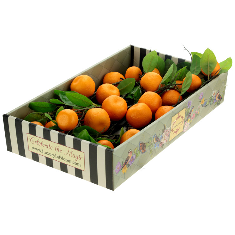 Orange vaporisateur, boîte de 6 à 30 pouces, Orange / Vert
