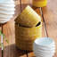 Olcott Handmade Pot Planter - Set of 2