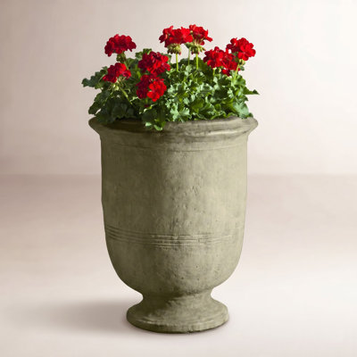 Provencal 20" Urn Planter