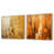 Gold Floater Framed