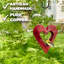 Mangeoire d'oiseaux Fly Thru Heart-1547568390