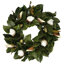 Couronne de plastique à bud 24" magnolia