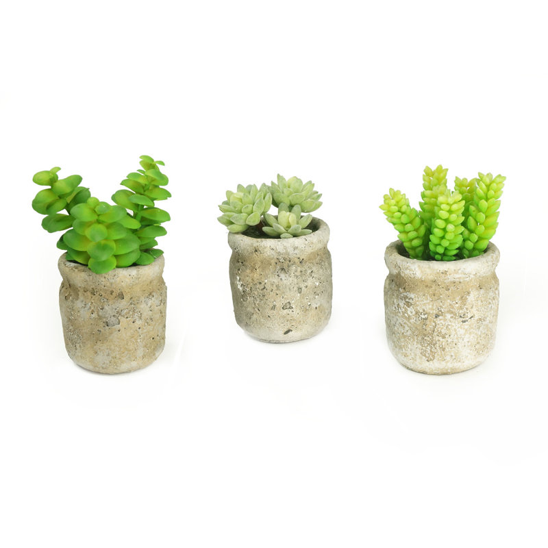 Ensemble de 3 plantes grasses artificielles en pot de ciment