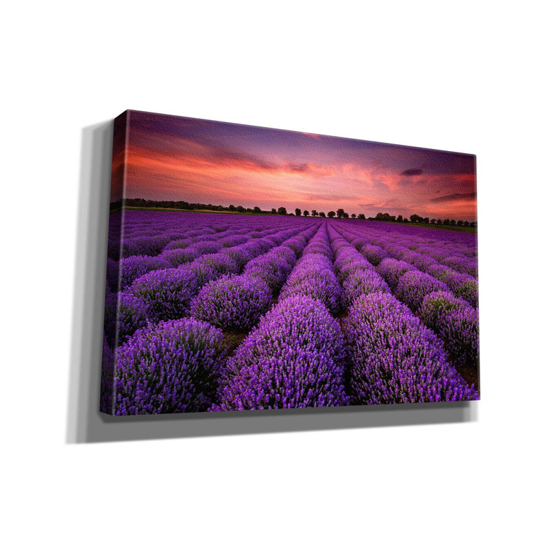 Champ de lavande sur toile, H 40 po x l 60 po x P 1,5 po
