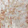 Holly Transitional Abstract Durable Performance Orange/Gray Area Rug