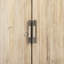 Moura 84" Carved Door Front Reclaimed Pine Sideboard in Light Blond with Iron Legs