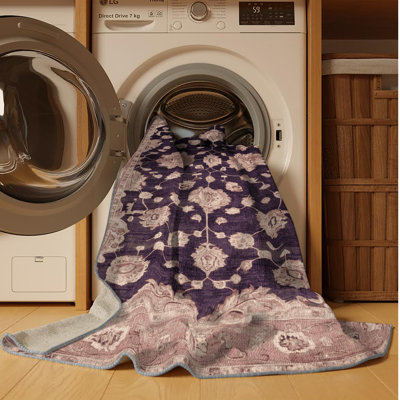 Machine Washable Overdyed Brown Area Rug