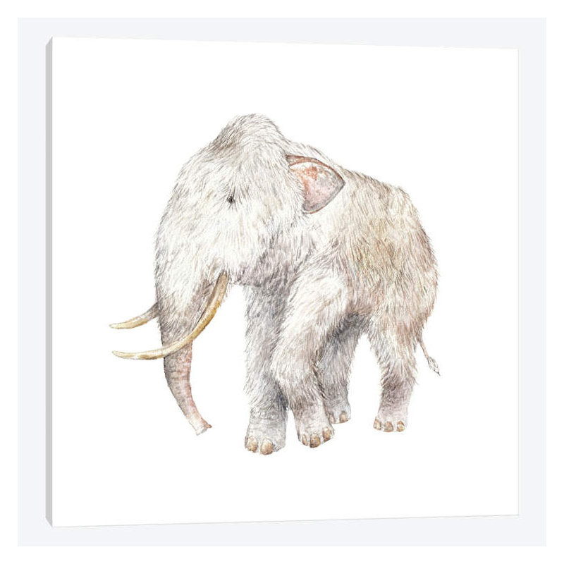 « lainely mammoth », impression sur toile tendue, H 37 po x l 37 po x P 1,5 po