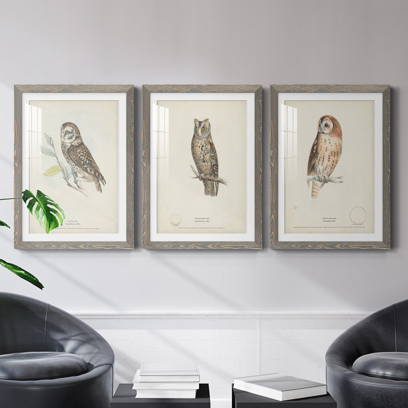 Little Owl Premium encadré mat - prêt à accrocher, Gris, H 20 po x l 51 po x P 1,5 po