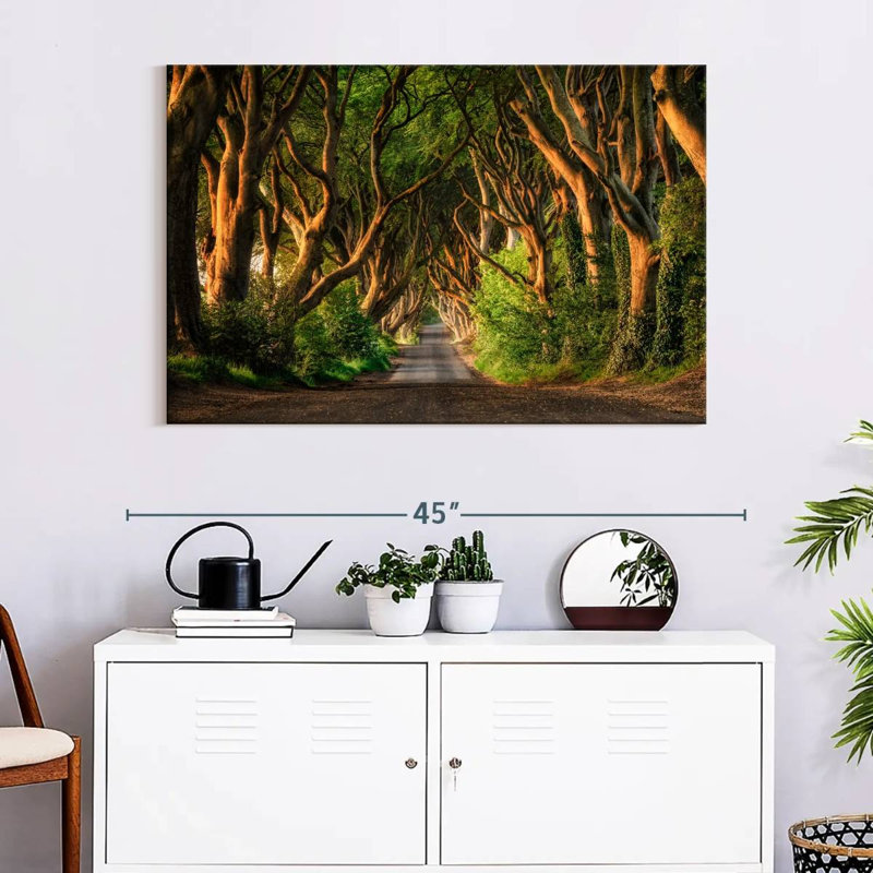 Lilie, forêt de haies foncées, Ballymoney, H 26 po x l 39 po