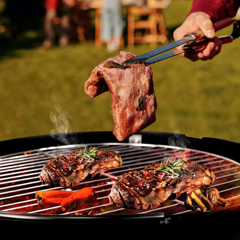 17 Stories Giahnna 47cm W Charcoal Grill
