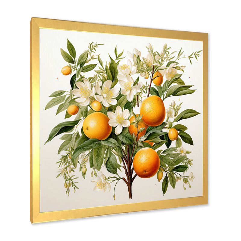 Fruit, art mural sur toile, arbre, reproduction botanique, Cadre doré simple, H 24 po x l 24 po x P 1 po