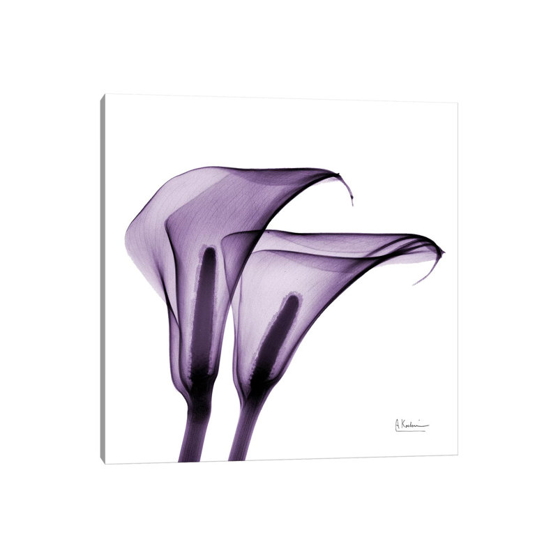Calla Lilies II by Albert Koetsier - Print on Canvas, 30.48 cm H x 30.48 cm W, Wrapped Canvas