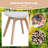 Hinson Modern High Backrest Dining Chairs with Wooden Legs,Set of 4