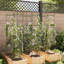 Seace Plant Stand