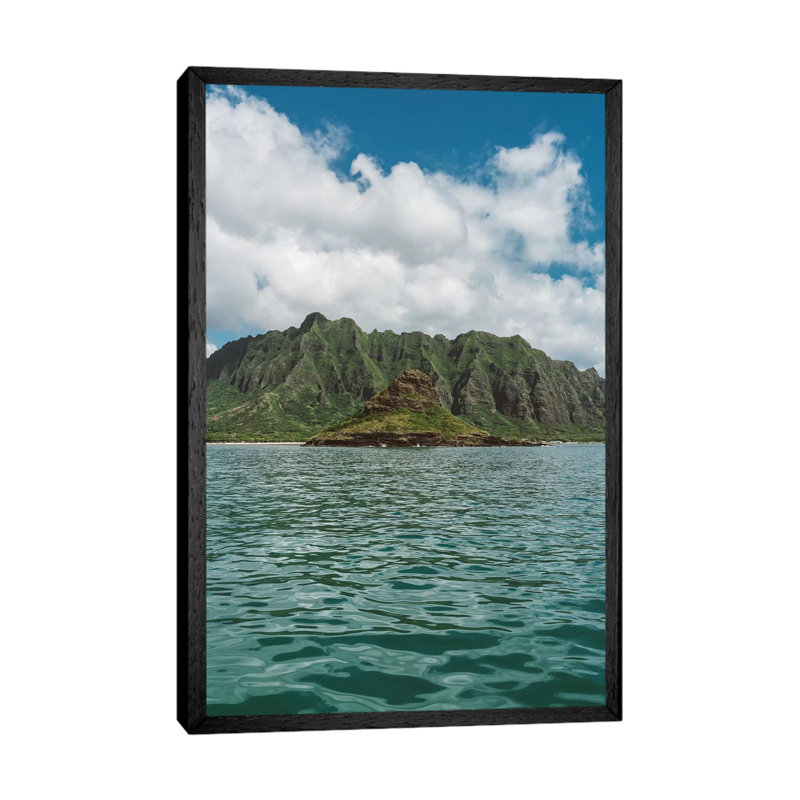 Mokoli'i II 1 Piece Wall Art on Canvas, 66.04cm H x 45.72cm W x 3.81cm D, Black Framed
