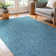 Aqua Blue Indoor/Outdoor Rug