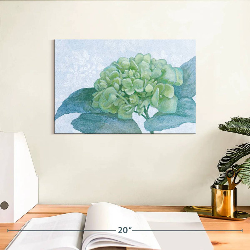 Hortensia bleu Harnek I, H 8 po x l 12 po